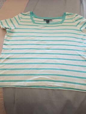 Karen Scott Mint and White Striped Knit Tee